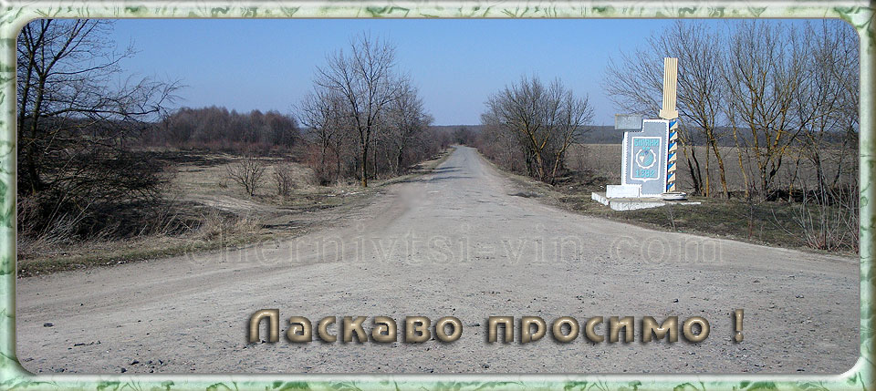 дорога до села Біляни Чернівецького району
