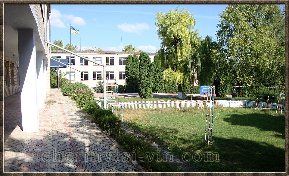 школа в селі Борівка у Чернівецькому районі