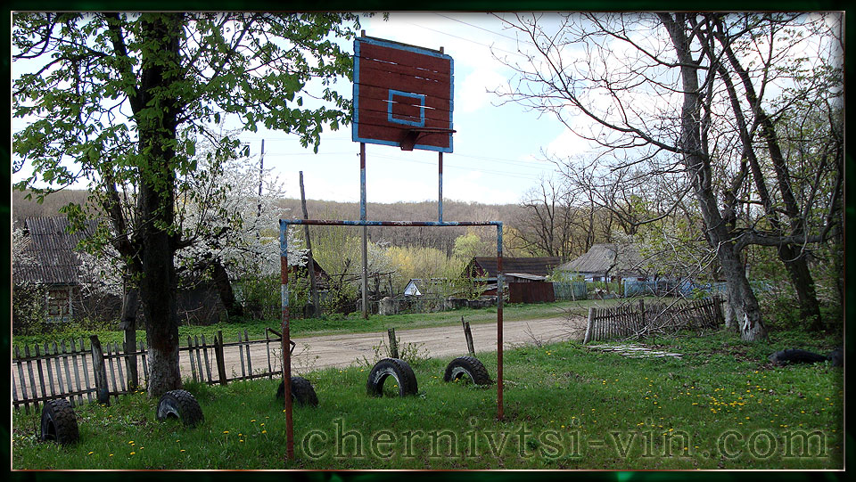 шкільний спортмайданчик, с.Весняне (Довжок) у Чернівецькому районі