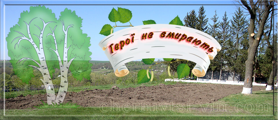 ділянка під березовий гай, с.Біляни