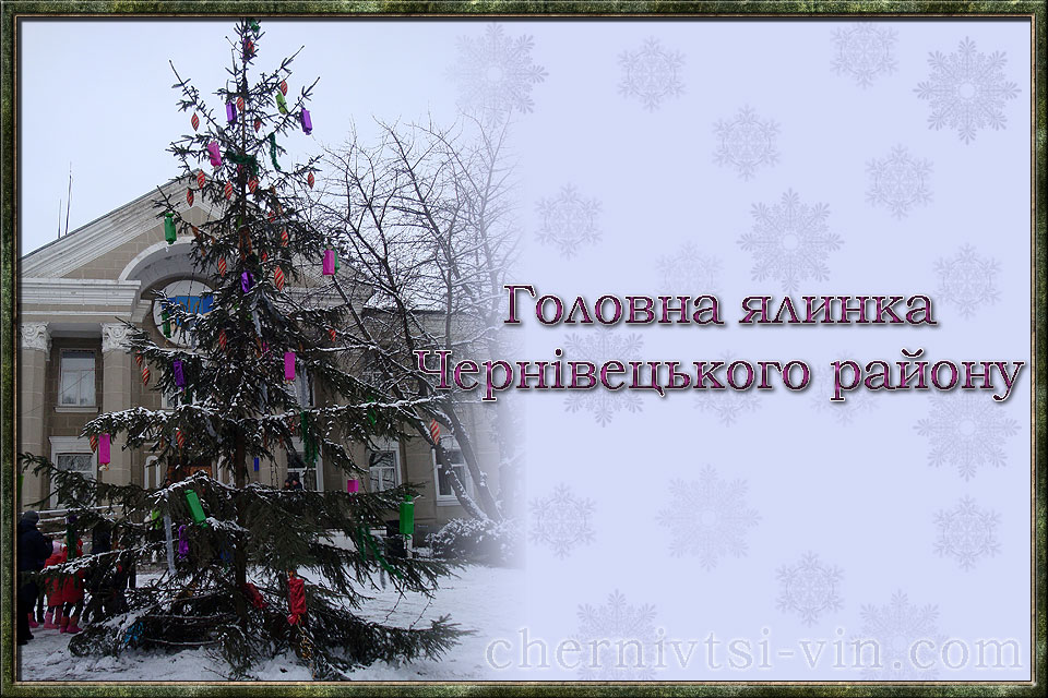 головна ялинка Чернівецького району