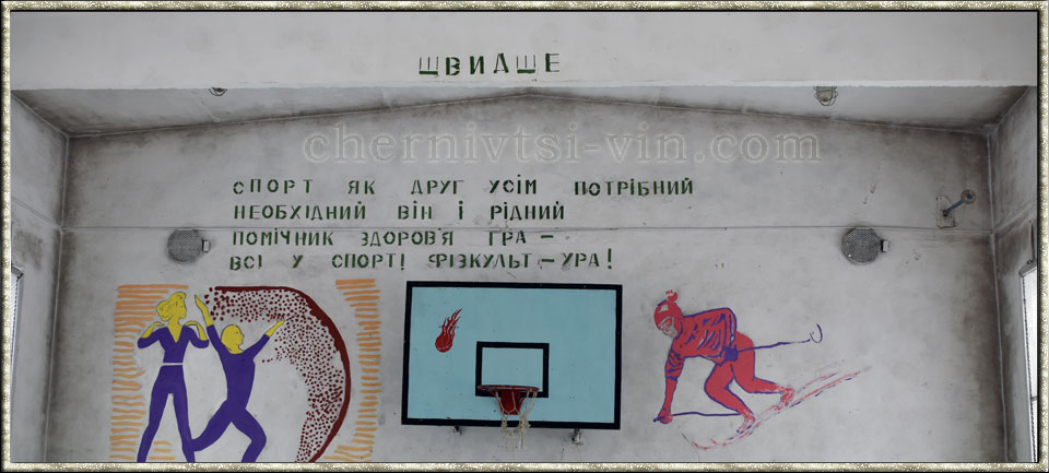 спортивна зала, школа, с.Сокіл Чернівецького району