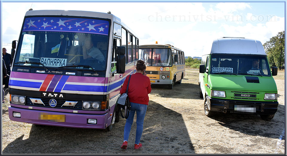 автобуси, смт Чернівці