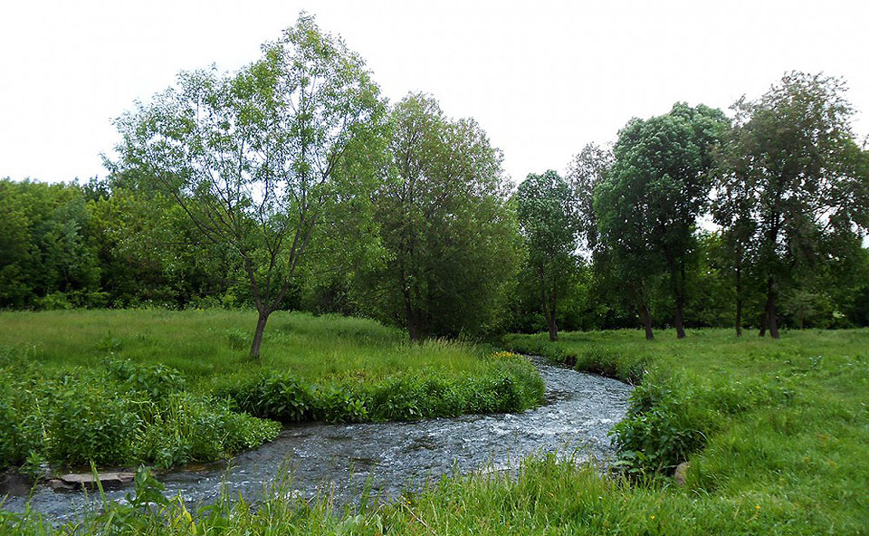 краєвиди, річка Мурашка, Чернівецький район