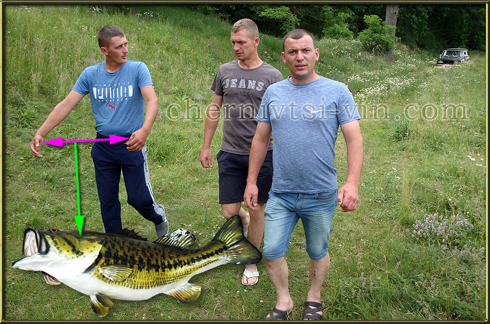  , ĳ ,  