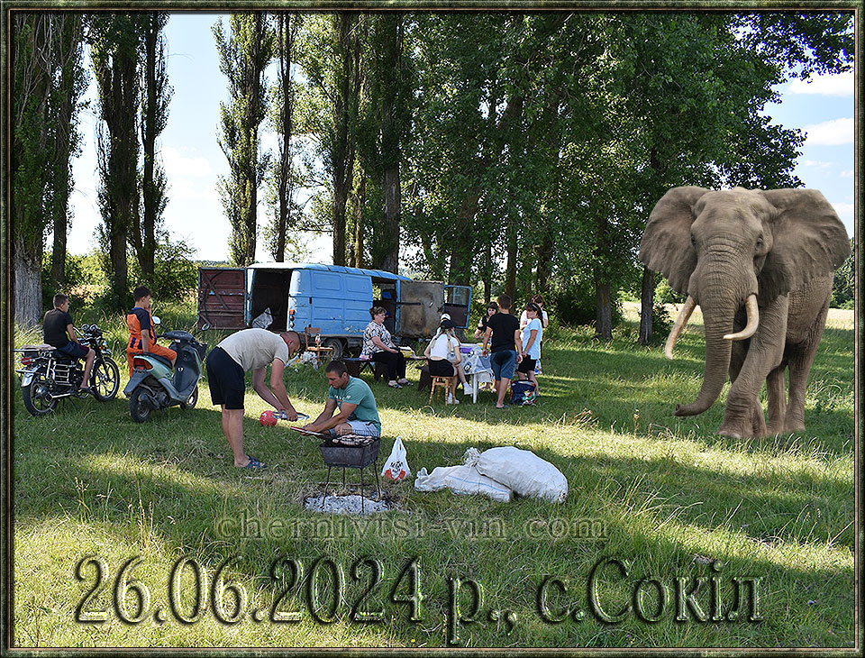 , .,   1923-2020