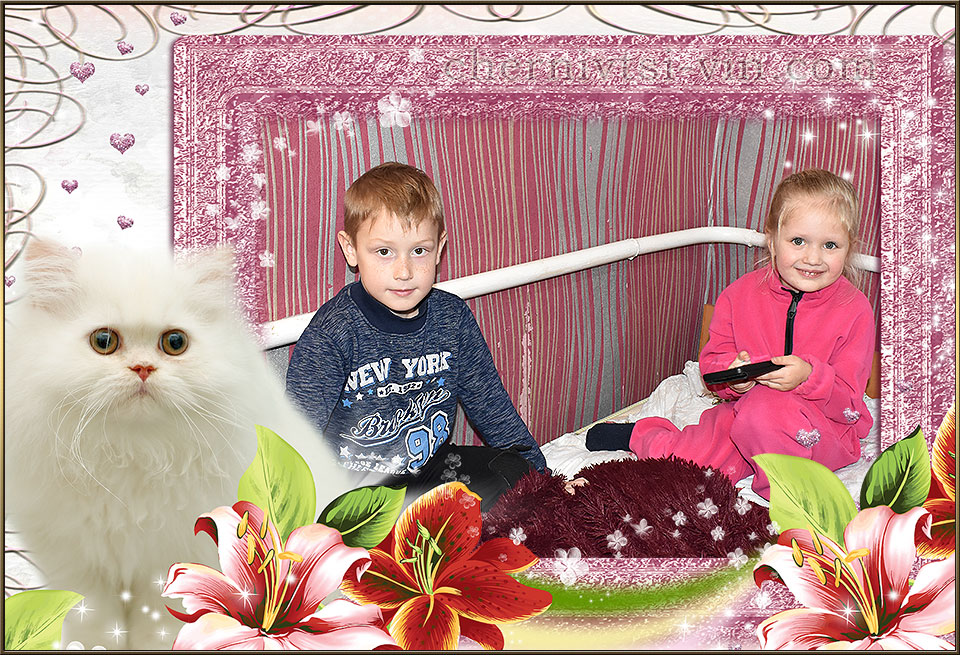 ������ �������, ������������ ����� 1923-2020, ³������� �������