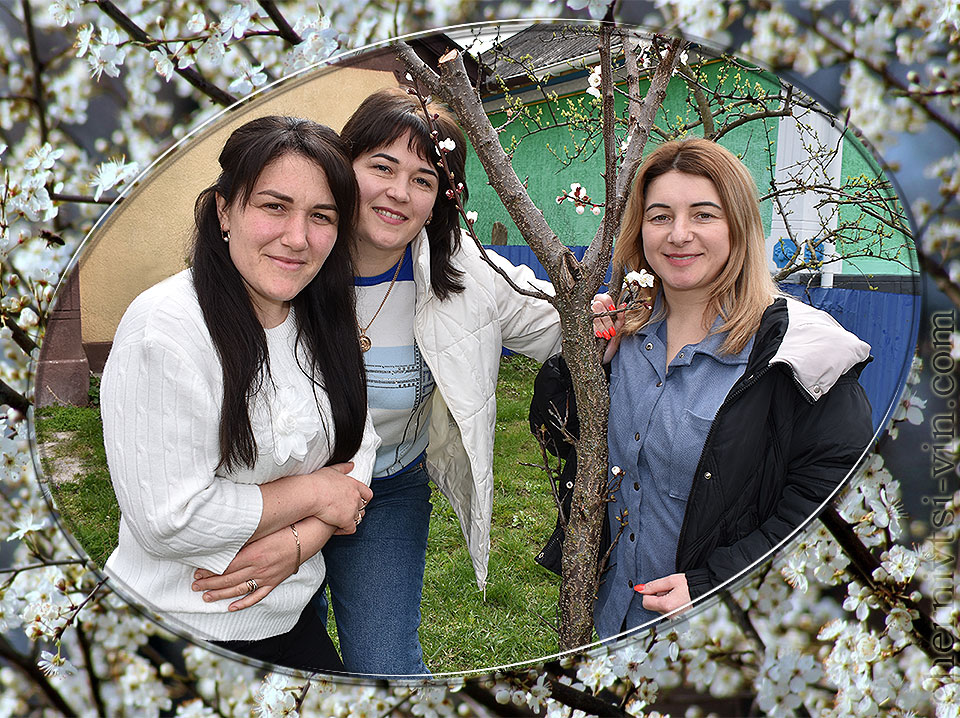 ������ ����, �����